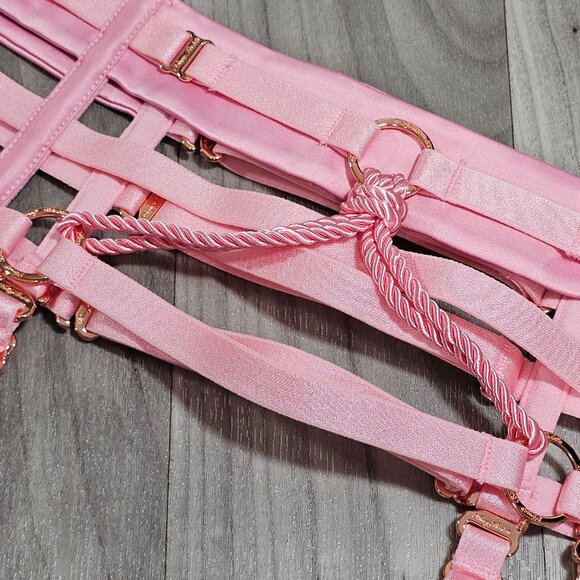 RARE ~ NWT Honey Birdette Shibari Pink Suspender Bondage Garter Belt Size S - Picture 2 of 4